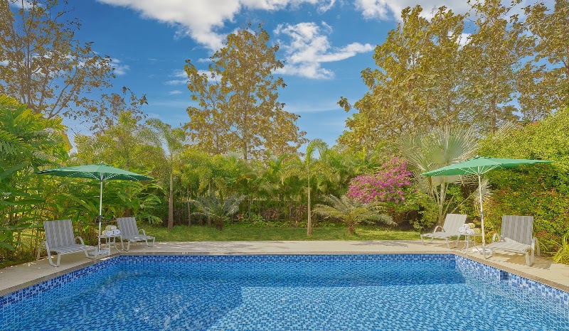 Tropical Riverside Pool Experience near Mumbai - Karjat (photo 5)