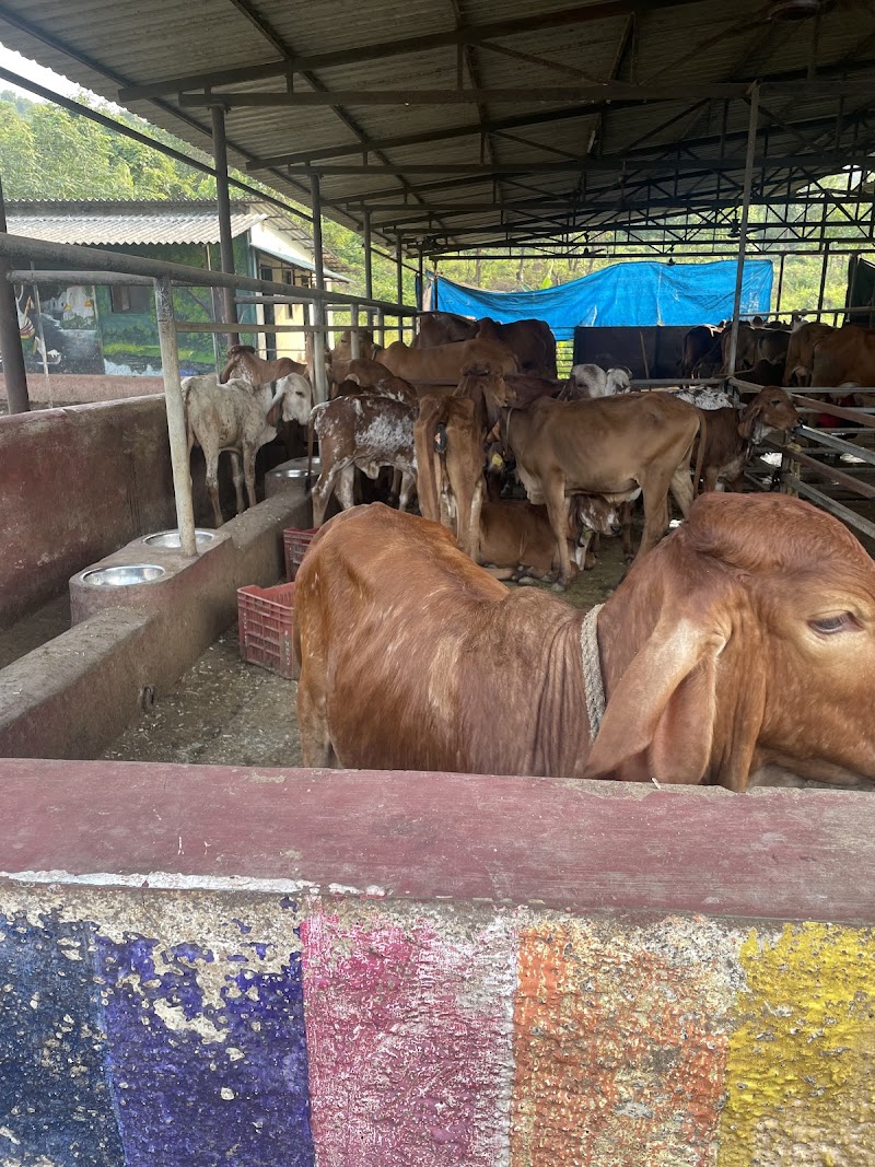 Gaudham – Periyar Farms - Khopoli (photo 4)