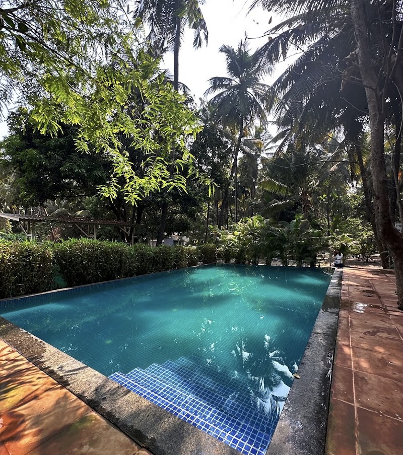 MS Huts Alibaug – Beachside Camping Near Alibaug - Alibag (photo 3)
