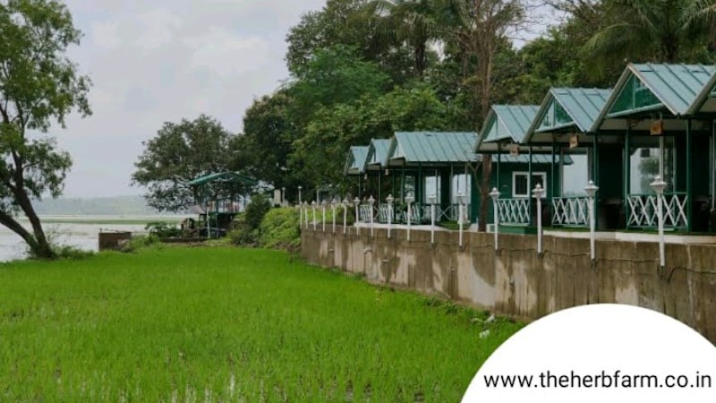 Lake & Leaf Cottages – Farm Stay Near Igatpuri - Igatpuri (photo 5)