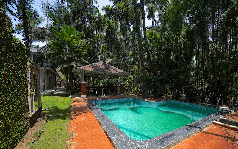 ReSync Areca - Chaul (photo 3)