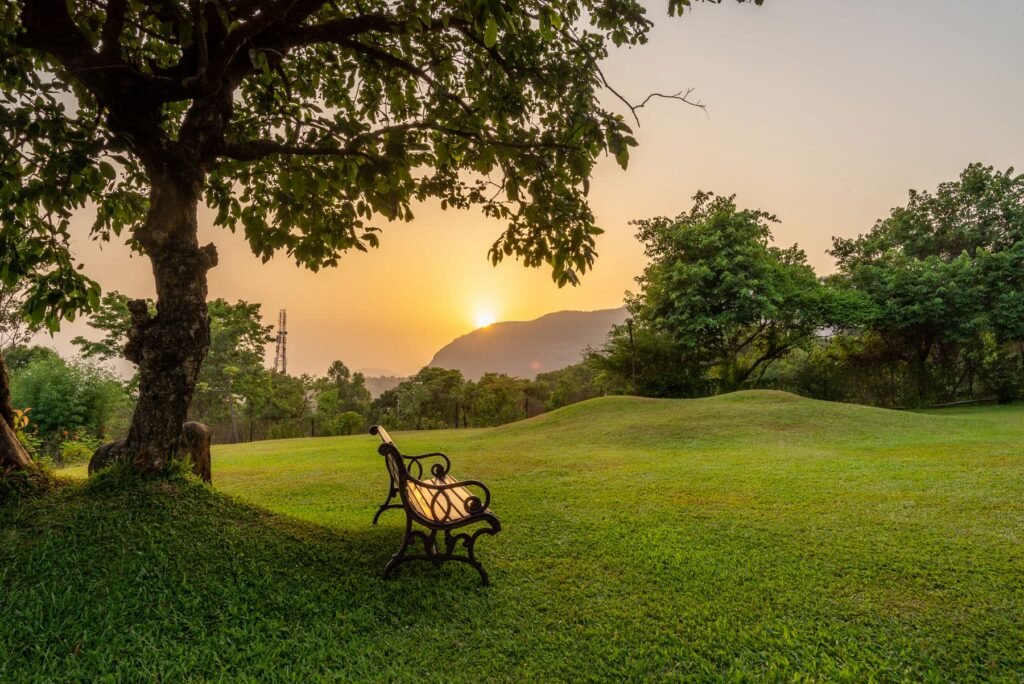Malhar Machi Luxury Mountain Resort - Nature Resort near Pune | Weekend Getaway Mulshi Sahyadri (photo 2)