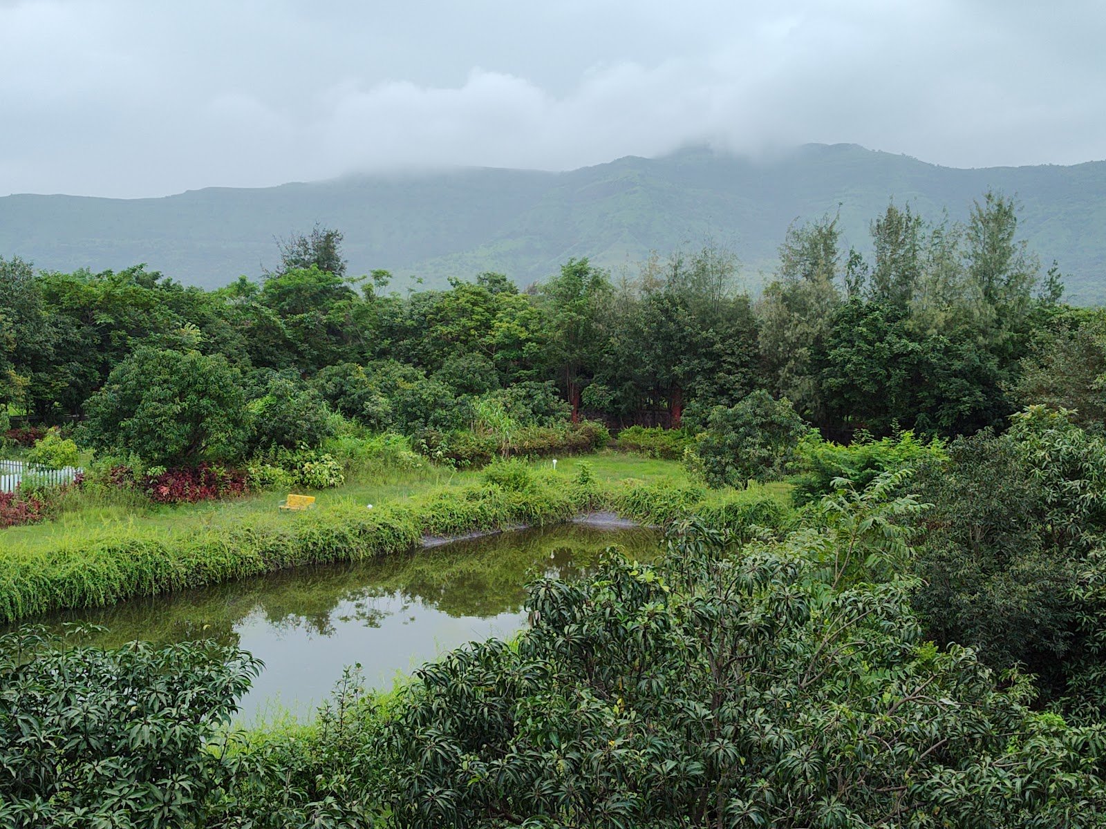 The Ark Wellness Resort Mulshi - Eco Resort near Pune | Mulshi Sahyadri Hills Maharashtra