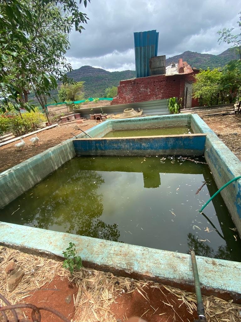 Sadabahar Moments Resort Mulshi rooms - Nature Stay Mulshi | Pune Weekend Getaway Sahyadri
